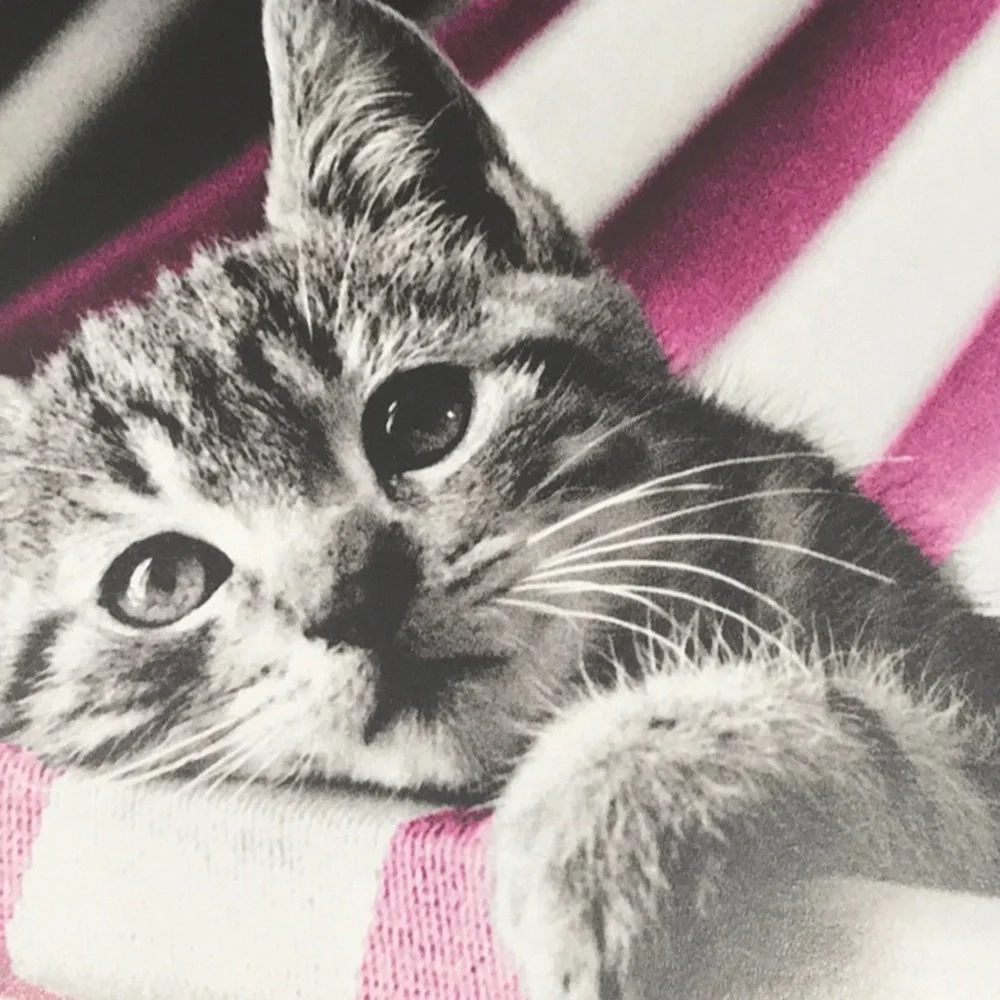 ☀️☀️New Classic Cats 2021 Calendar